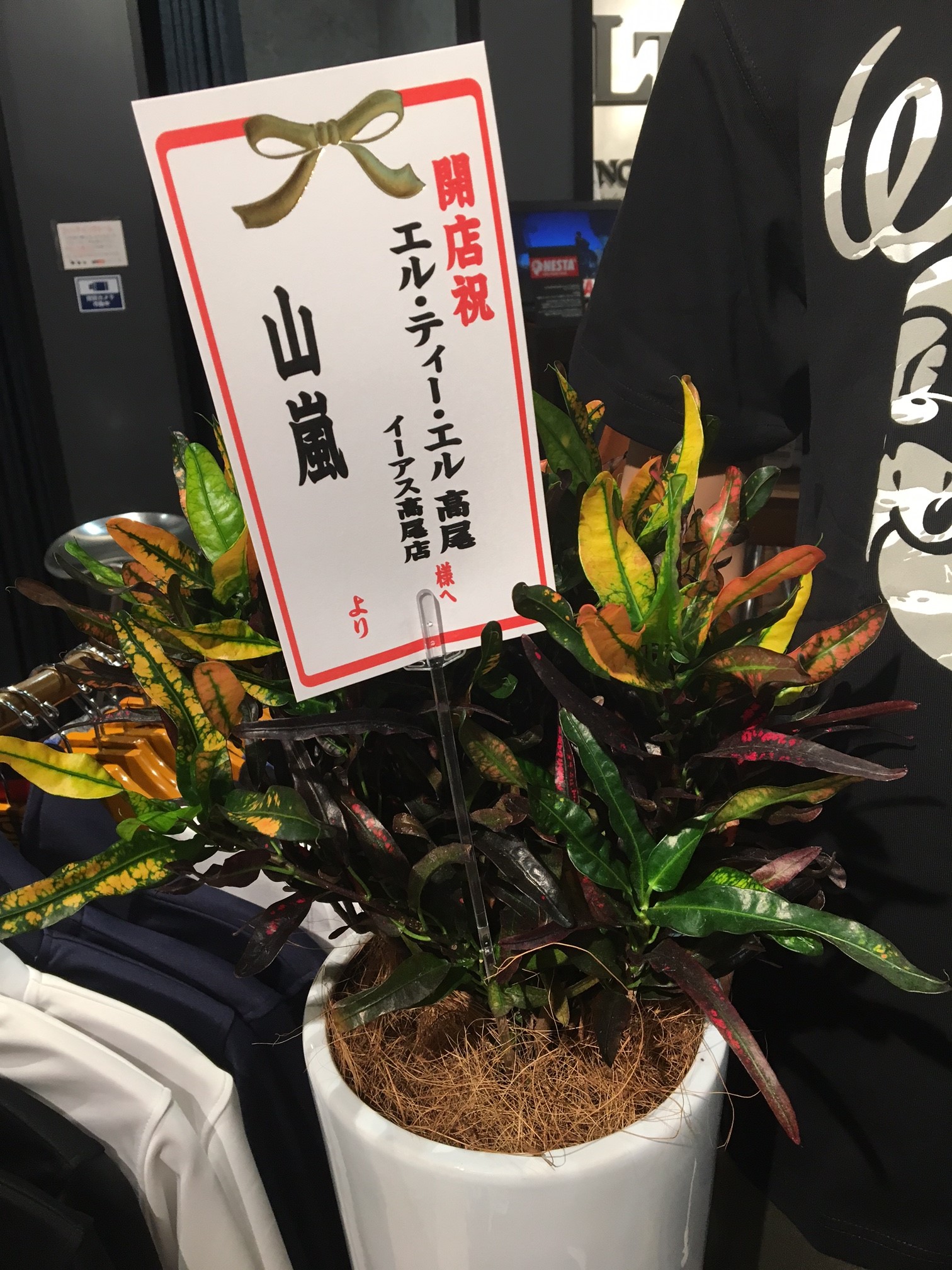 LTL高尾店ニューオープン