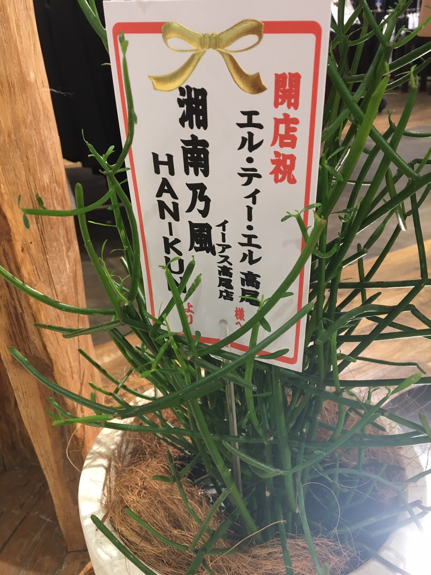 LTL高尾店ニューオープン